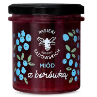 Honig mit Blaubeeren